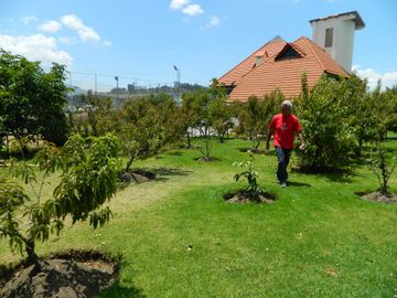 QUINTA EN VENTA. IZAMBA AMBATO!!