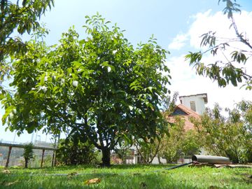 QUINTA EN VENTA. IZAMBA AMBATO!!