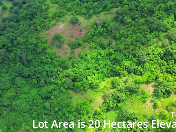 Tectec a 20-Hectare Raw Land with Overlooking Sea at San Felipe, Zambales