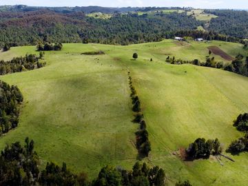 Campo agrícola en venta de 44,6 hectáreas en Los Muermos