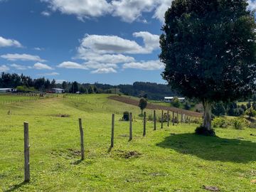 Campo agrícola en venta de 44,6 hectáreas en Los Muermos