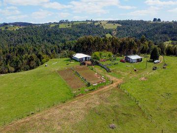 Campo agrícola en venta de 44,6 hectáreas en Los Muermos