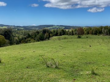 Campo agrícola en venta de 44,6 hectáreas en Los Muermos