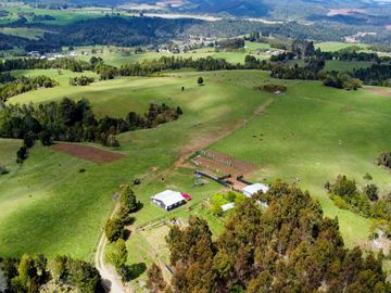 Campo agrícola en venta de 44,6 hectáreas en Los Muermos