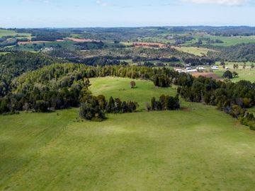 Campo agrícola en venta de 44,6 hectáreas en Los Muermos