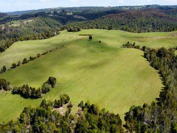 Campo agrícola en venta de 44,6 hectáreas en Los Muermos