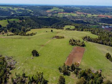 Campo agrícola en venta de 44,6 hectáreas en Los Muermos