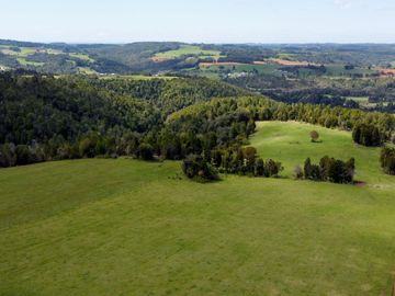Campo agrícola en venta de 44,6 hectáreas en Los Muermos