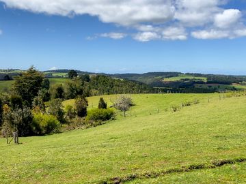 Campo agrícola en venta de 44,6 hectáreas en Los Muermos