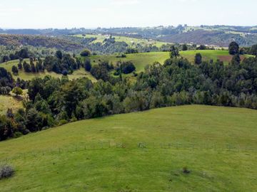 Campo agrícola en venta de 44,6 hectáreas en Los Muermos