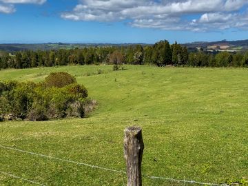 Campo agrícola en venta de 44,6 hectáreas en Los Muermos