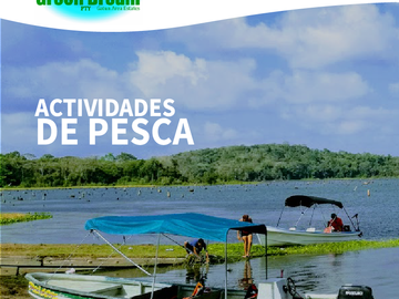 PAGO EN $500 Quincenal  SIN INTERES, ABONO Y REQUISITOS en Green Dream PTY.