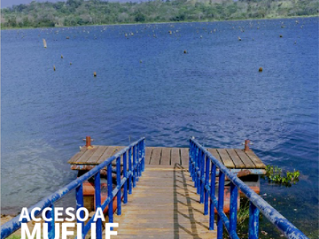 PAGO EN $500 Quincenal  SIN INTERES, ABONO Y REQUISITOS en Green Dream PTY.
