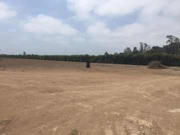 Terreno en Quilmana CON CASA Y NEGOCIO – 2.33  has
