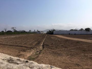 Terreno en Quilmana CON CASA Y NEGOCIO – 2.33  has
