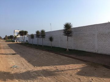 Terreno en Quilmana CON CASA Y NEGOCIO – 2.33  has