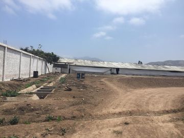 Terreno en Quilmana CON CASA Y NEGOCIO – 2.33  has
