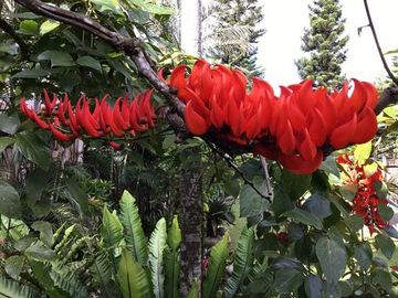 House and Lot/Event's Place For Sale at Tagaytay City, Cavite