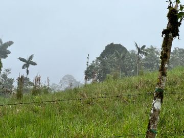 FINCA DE VENTA