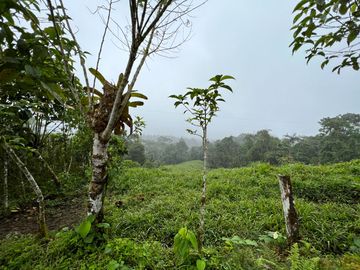 FINCA DE VENTA
