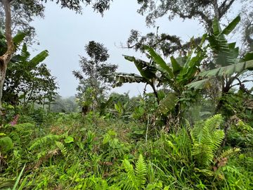 FINCA DE VENTA