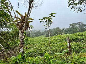 FINCA DE VENTA