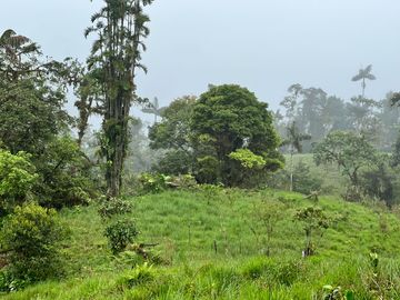 FINCA DE VENTA