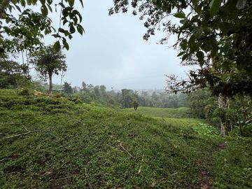 FINCA DE VENTA