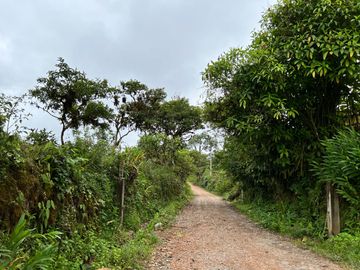 FINCA DE VENTA