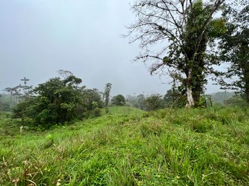 FINCA DE VENTA