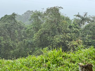FINCA DE VENTA