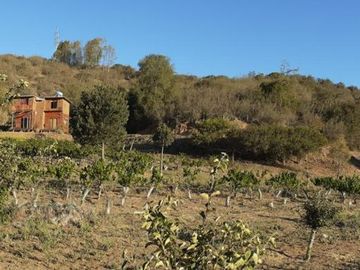 SE VENDE PARCELA CON CASAS EN FUNDO SAN JORGE QUILPUE UF6.008