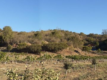 SE VENDE PARCELA CON CASAS EN FUNDO SAN JORGE QUILPUE UF6.008