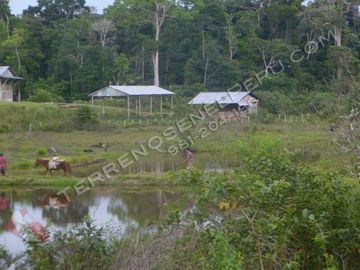 Terreno en Loreto de 750 Has – Ideal para EcoTurismo