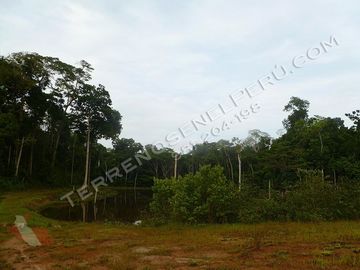 Terreno en Loreto de 750 Has – Ideal para EcoTurismo