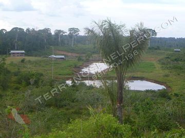 Terreno en Loreto de 750 Has – Ideal para EcoTurismo