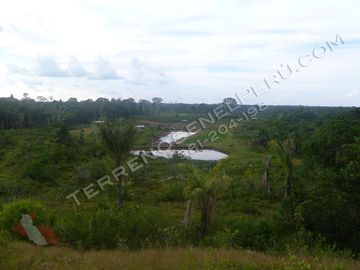 Terreno en Loreto de 750 Has – Ideal para EcoTurismo