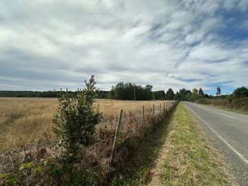Se vende Parcela de 2 Has orilla de camino sector Tronlico, Región de Los Ríos.