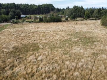 Se vende Parcela de 2 Has orilla de camino sector Tronlico, Región de Los Ríos.