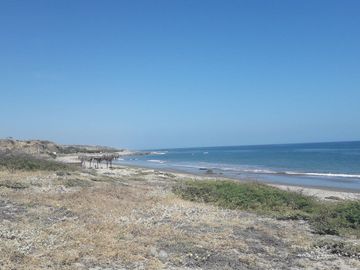 Terreno Frente Al Mar- Playa Punta Canoas -Tumbes