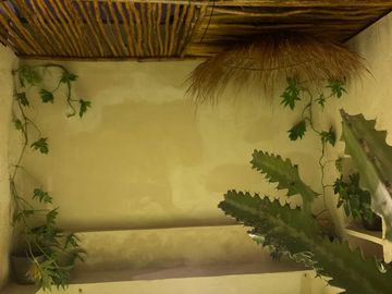 SE VENDE CASA EN Calle 84 473-483A, Centro, Mérida, Yucatán, 97000, MEX