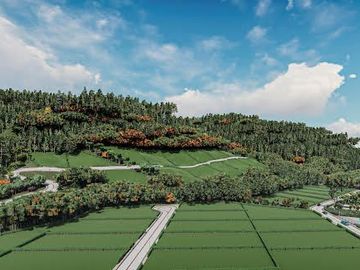 Venta de Lotes  1000M2 Urbanizados en Mindo.