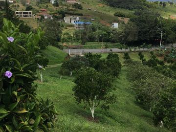 hermosa finca 40.000m2 via al mar km32 sobre vía  pavimentada