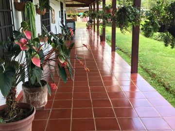 hermosa finca 40.000m2 via al mar km32 sobre vía  pavimentada