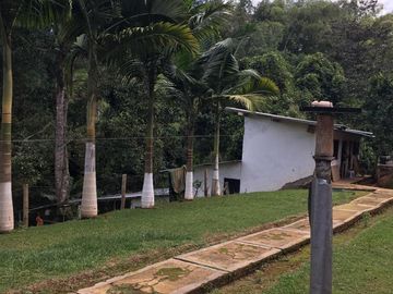 hermosa finca 40.000m2 via al mar km32 sobre vía  pavimentada