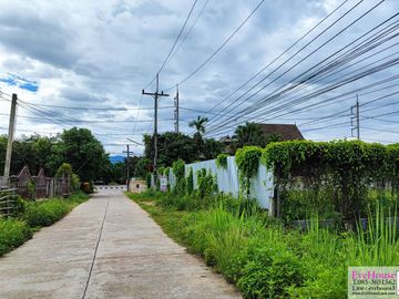 Land For Sale In Chiang Dao, SIze 2 Rai 1 Ngan Doi Luang Chiang Dao View, 50 m. from Chotana road.