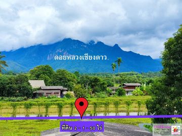 Land For Sale In Chiang Dao, SIze 2 Rai 1 Ngan Doi Luang Chiang Dao View, 50 m. from Chotana road.