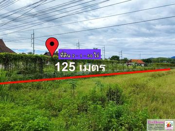 Land For Sale In Chiang Dao, SIze 2 Rai 1 Ngan Doi Luang Chiang Dao View, 50 m. from Chotana road.
