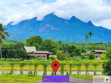 Land For Sale In Chiang Dao, SIze 2 Rai 1 Ngan Doi Luang Chiang Dao View, 50 m. from Chotana road.