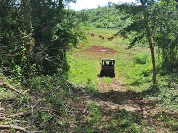 Rancho WOTOCH KEEJ de 31 HAS con casa, granja y piscina